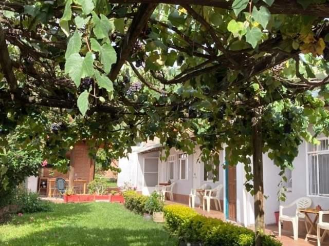 Samailandia Backpack Hotel Samaipata Buitenkant foto